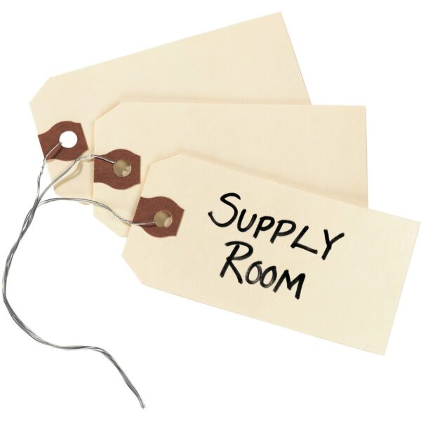 Avery Shipping Tags with Wire, 11.5 pt. Stock, 3-3/4" x 1-7/8" , 1,000 Manila Hang Tags