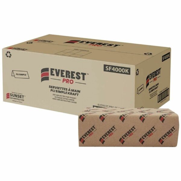 Everest Pro Paper Towel