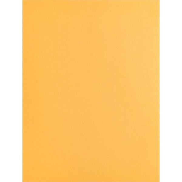 Business Source Kraft Gummed Catalog Envelopes - Image 4