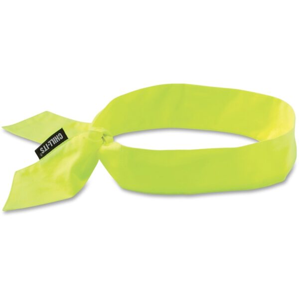 Ergodyne Evaporating Cooling Bandana