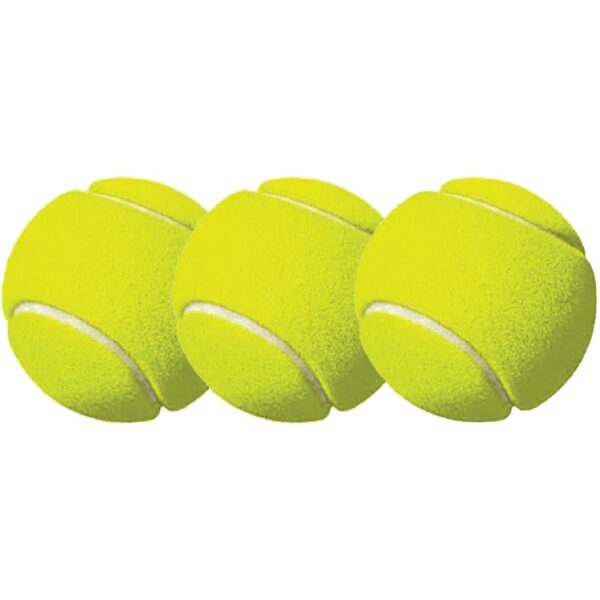 Champion Sports Tennis Ball Pack