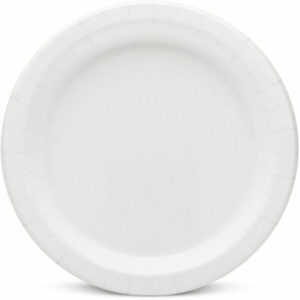 AJM 9" Dinnerware Paper Plates - Image 2