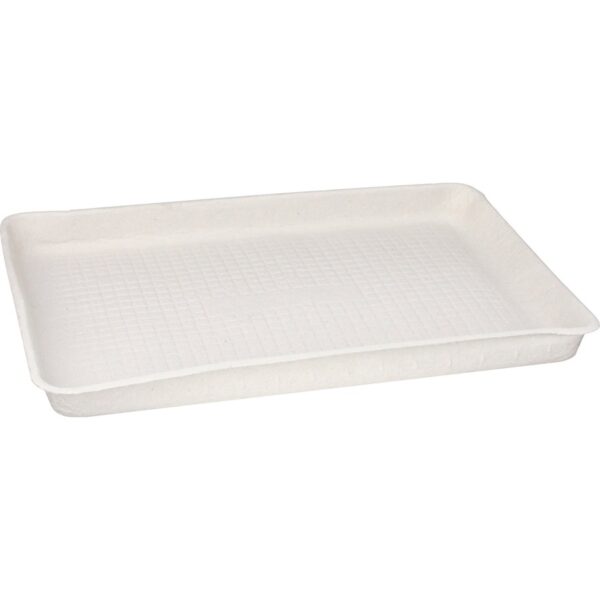 Chinet 9" x 12" Trays