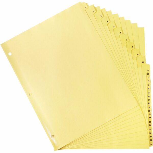 Business Source Preprinted 1-31 Tab Index Dividers