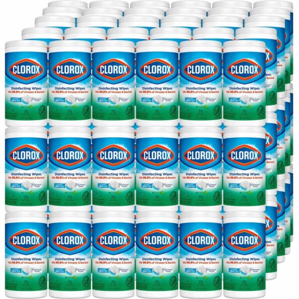 Clorox Disinfecting Wipes, Bleach-Free Cleaning Wipes