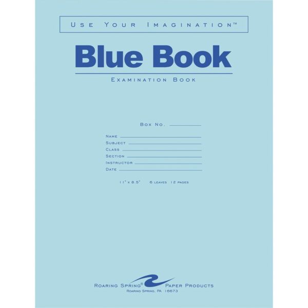 Roaring Spring Blue Examination Book - Image 2