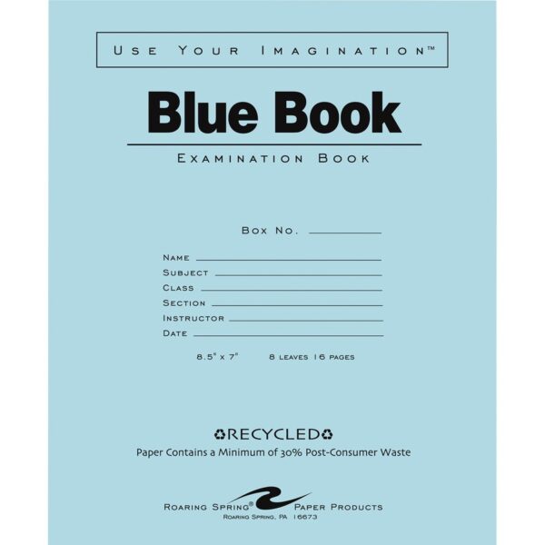 Roaring Spring Blue Examination Book - Image 2