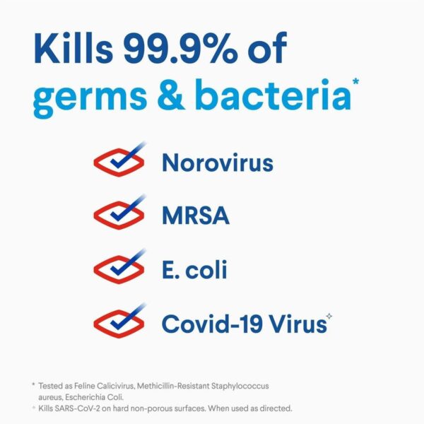 Clorox Germicidal Bleach - Image 6