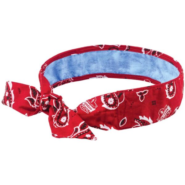 Ergodyne 6700CT Cooling Bandana