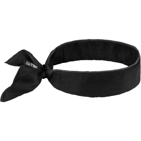 Ergodyne 6702 Cooling Bandana