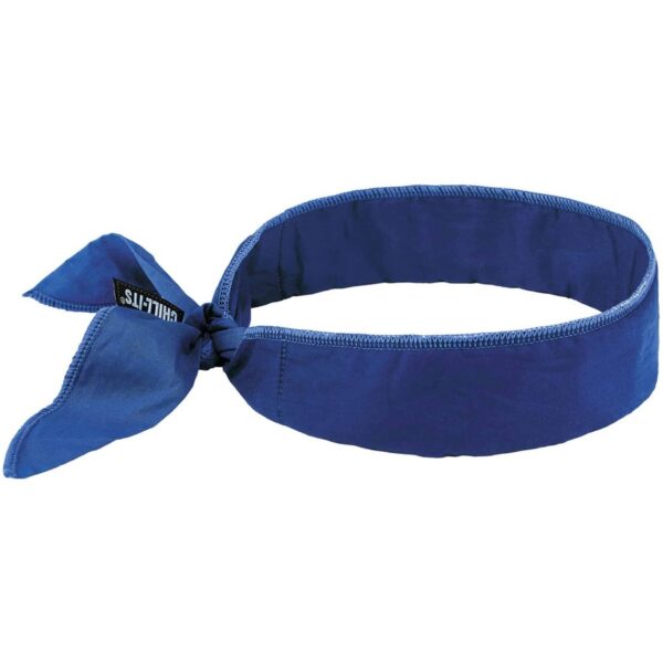 Ergodyne 6702 Cooling Bandana