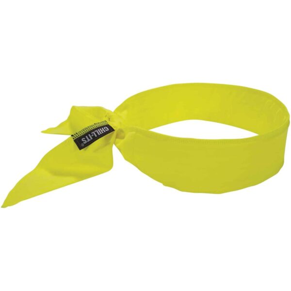 Ergodyne 6702 Cooling Bandana