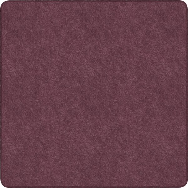 Flagship Carpets Amerisoft Solid Color Rug