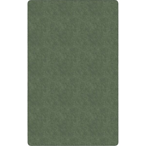 Flagship Carpets Amerisoft Solid Color Rug