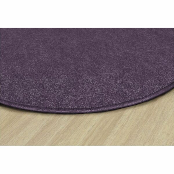 Flagship Carpets Amerisoft Solid Color Rug - Image 3