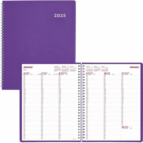 Brownline DuraFlex Weekly Appointment Planner