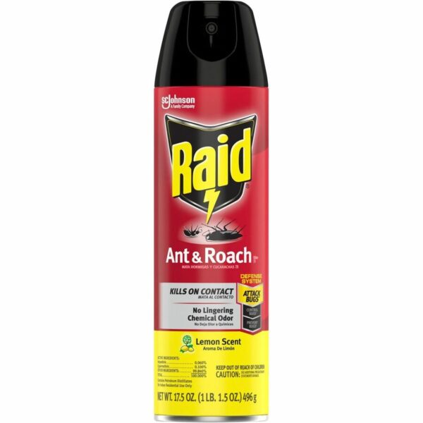 Raid Ant & Roach Killer Spray