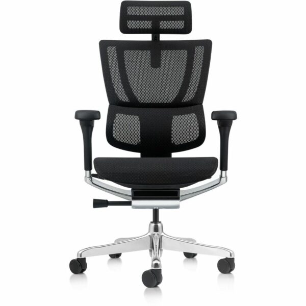 Raynor Ergohuman Xtreme Executive Chair - Image 3