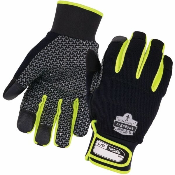 Ergodyne ProFlex 850 Insulated Freezer Gloves