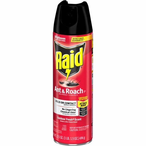 Raid Ant & Roach Killer Spray - Image 2