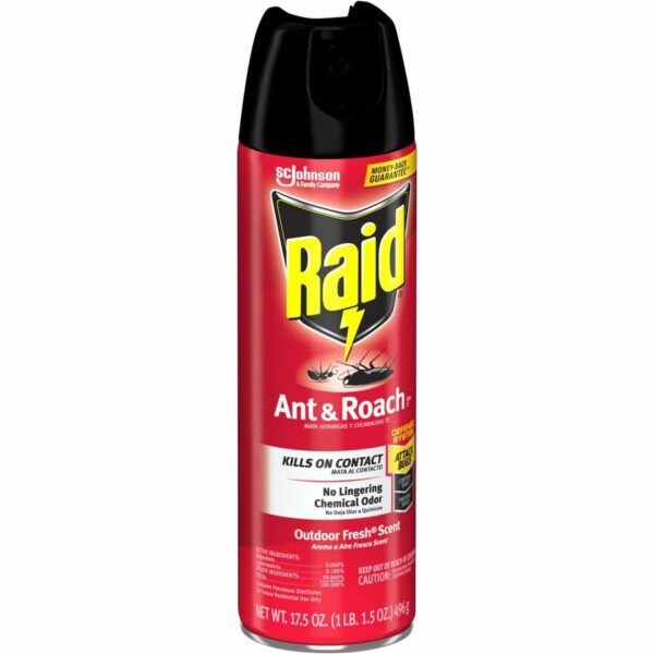 Raid Ant & Roach Killer Spray - Image 3