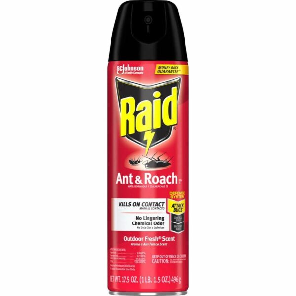 Raid Ant & Roach Killer Spray