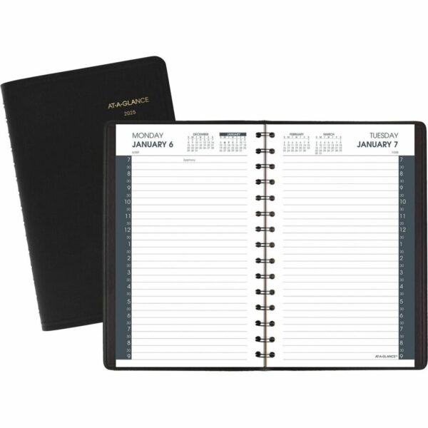 At-A-Glance Appointment Book Planner