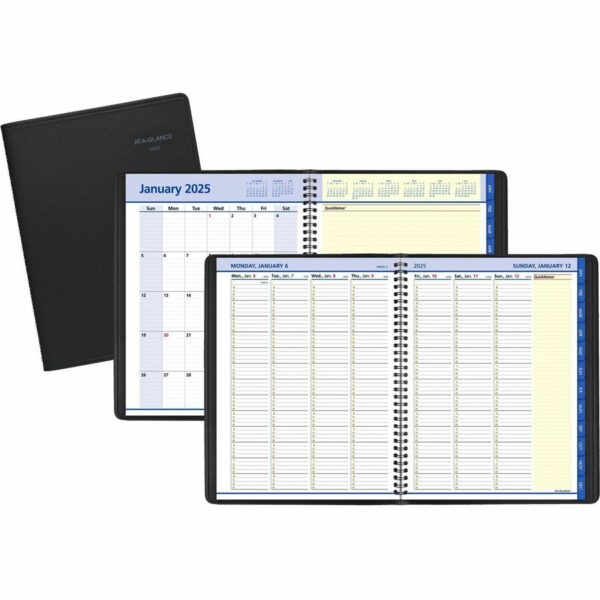 At-A-Glance QuickNotes Appointment Book Planner