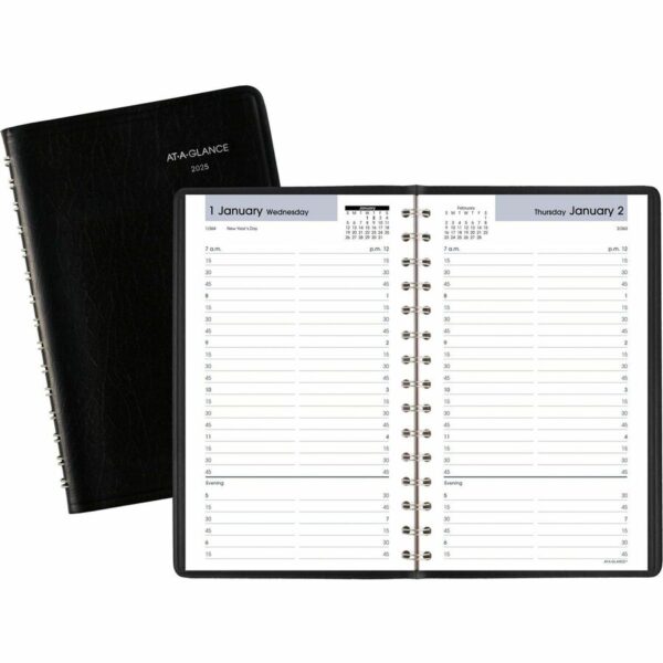 At-A-Glance DayMinder Appointment Book Planner