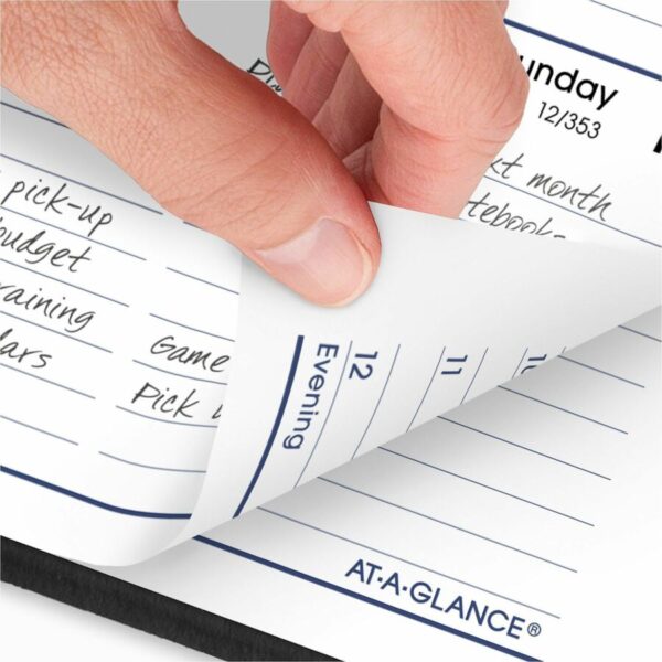 At-A-Glance DayMinder Appointment Book Planner - Image 6