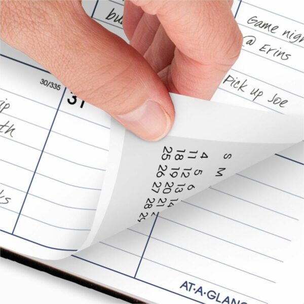 At-A-Glance DayMinder Premiere Planner - Image 4