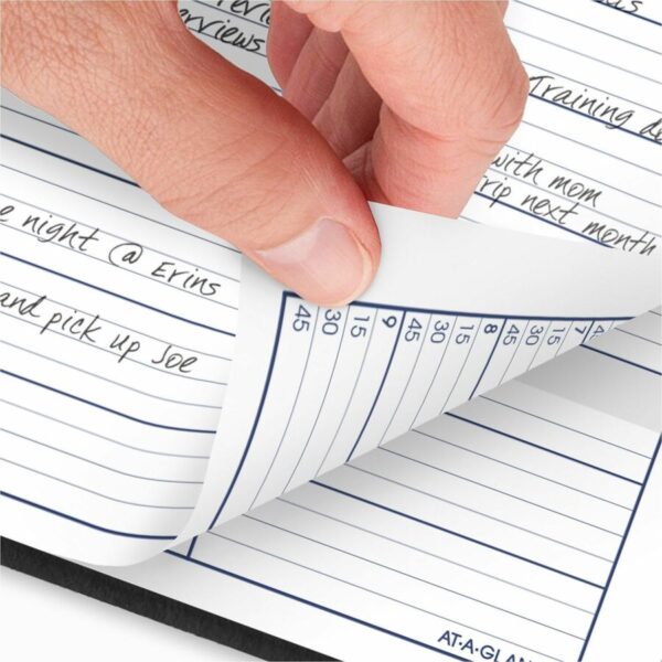 At-A-Glance DayMinder Appointment Book Planner - Image 7