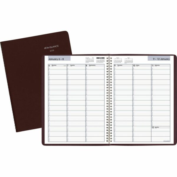 At-A-Glance DayMinder Appointment Book Planner