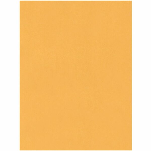 Quality Park 15 x 20 Jumbo Catalog Envelopes - Ungummed - Image 3